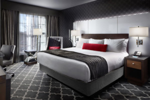 Graceland-Guest-House-Room-King-Room Guest House Accommodations